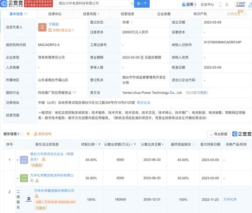 數(shù)字文化創(chuàng)意內(nèi)容應用服務 開啟數(shù)字時代文化新紀元